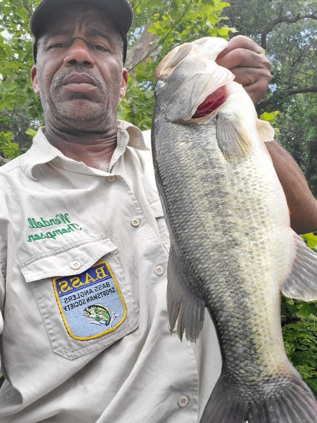 Up Close with Wendell Thompson He Sees Everything